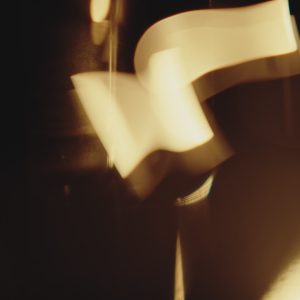 Orchid & Sandalwood at Dusk