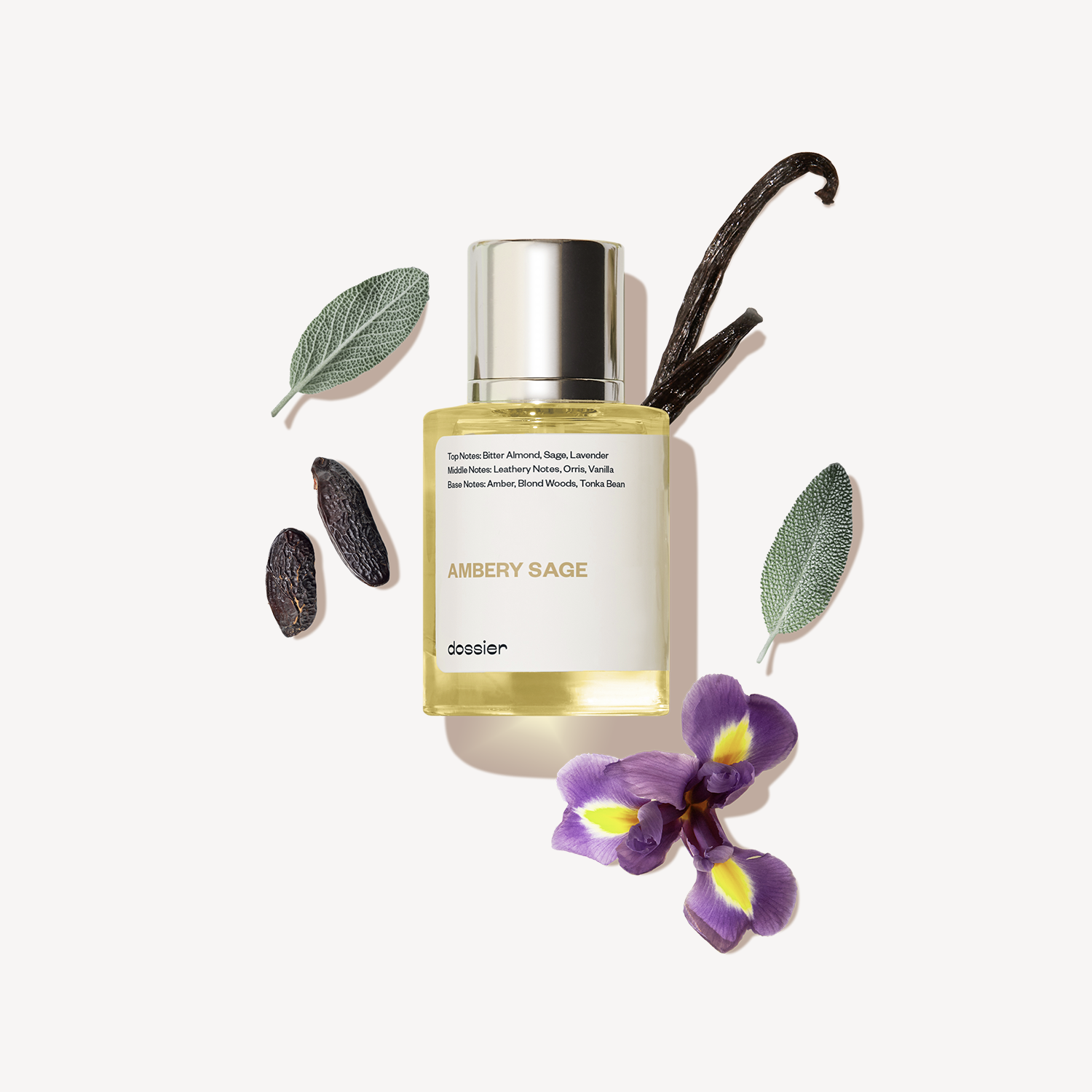 Ambery-Sage_d43d56e9-038b-44ba-a10f-f0b72d54fb1a-2