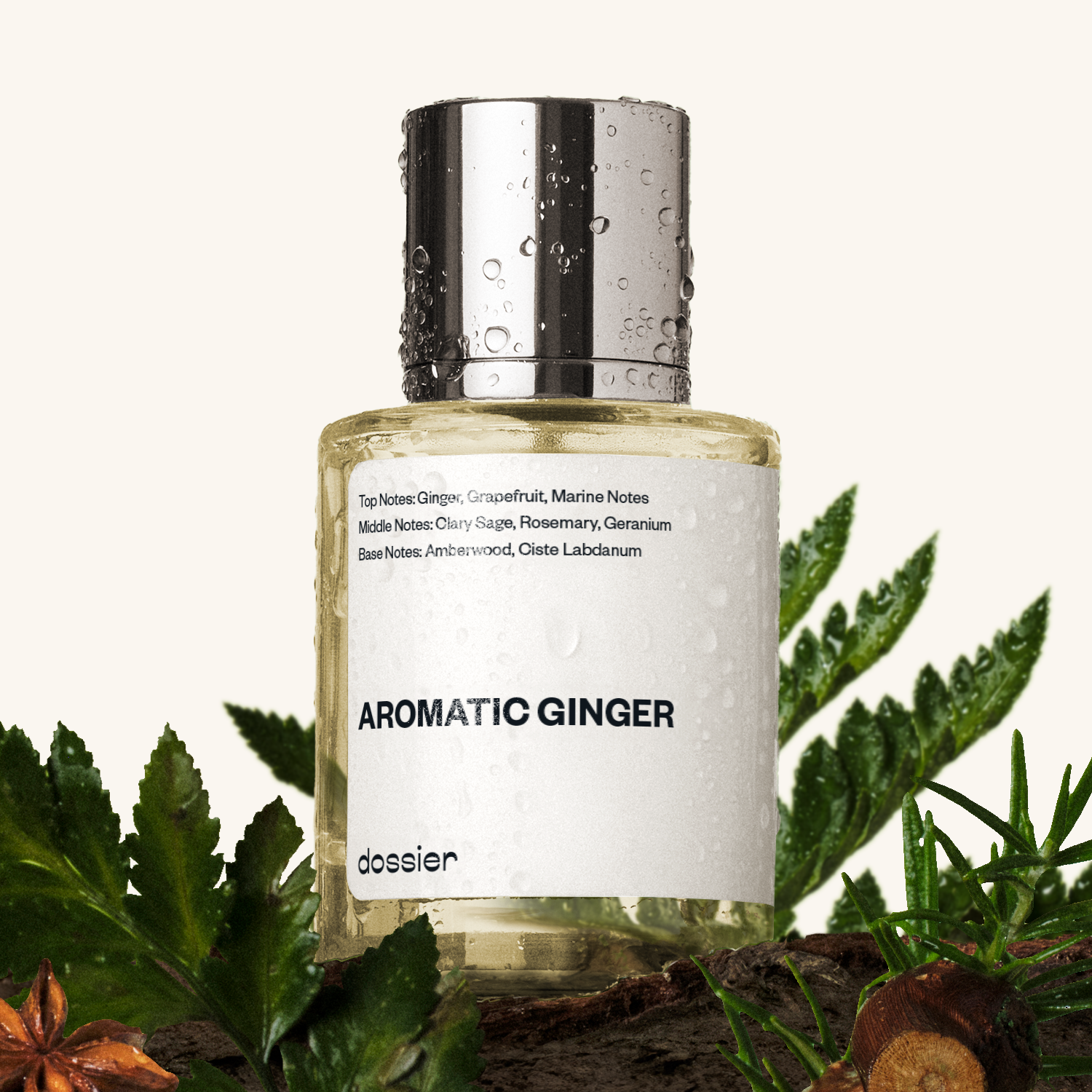 Aromatic-Ginger-Aromatic-Fougere-Fresh-Aromatic_747cd1b2-700c-44ff-a08d-010485fca6f0-3