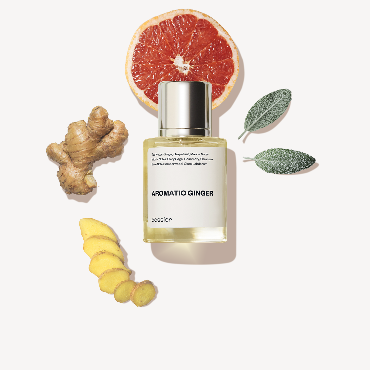 Aromatic-Ginger_ac9a9e06-b0f7-4b10-9fe8-6aa27ae6176d