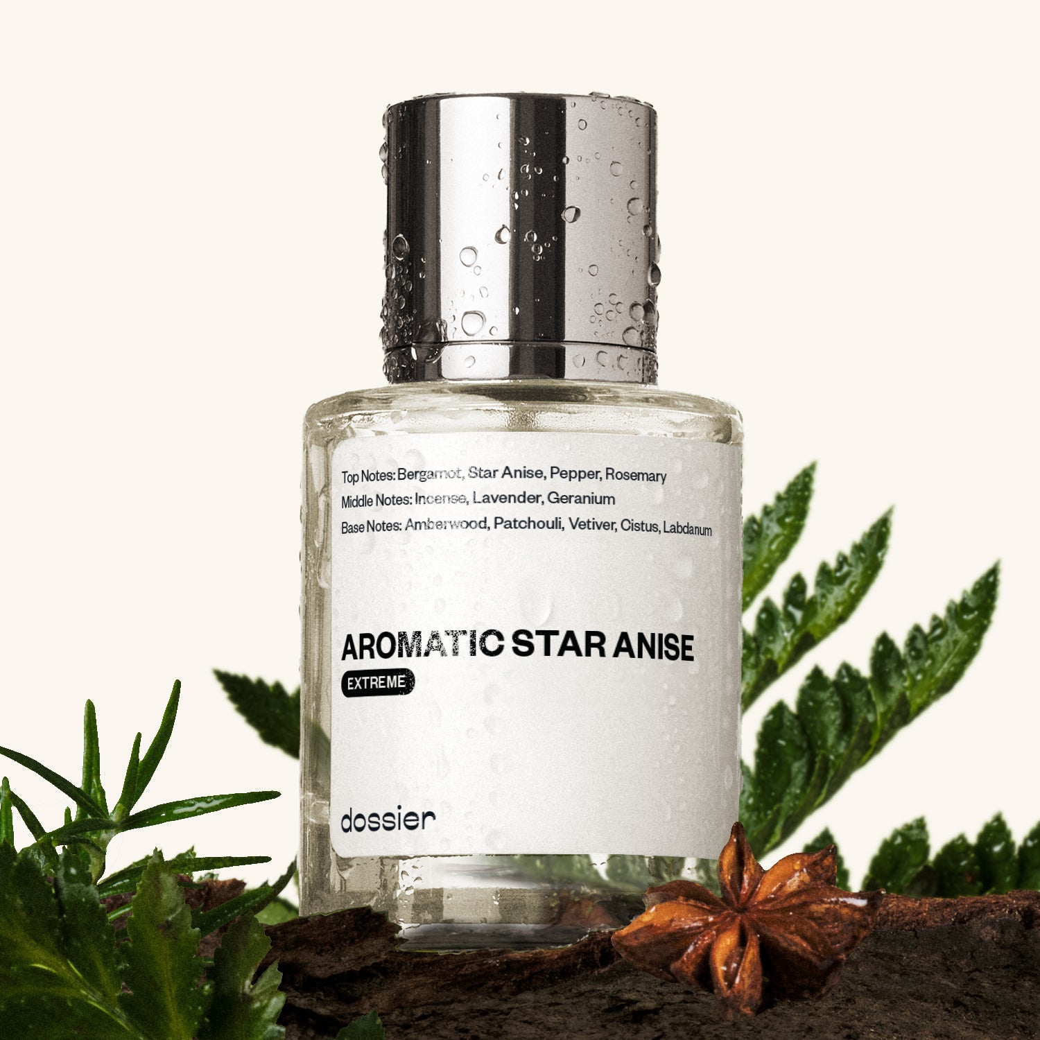 Aromatic-Star-Anise-Extreme-Aromatic-Fougere-Fresh-Aromatic_a8c3c702-bb93-4a83-9c65-506c8c018275-1