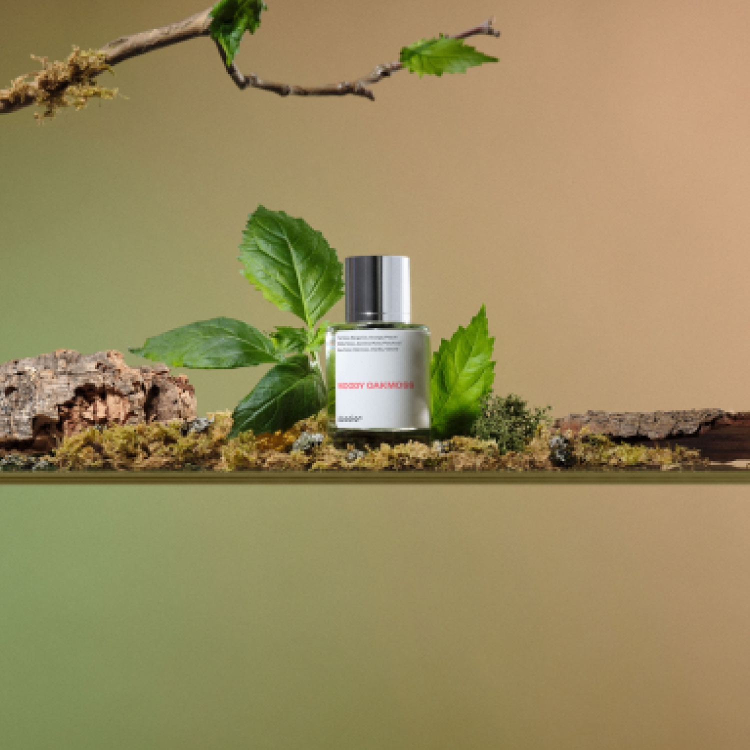 WoodyOakmoss_1500x1500_fda4ad24-5a7a-45e7-85f1-c04ff34638f9-3