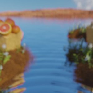 Ginger & Grapefruit Zing