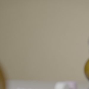 Floral Marshmallow Room Diffuser