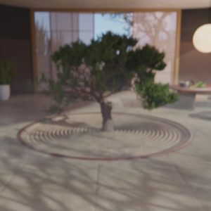 Sage & Black Tea Renew